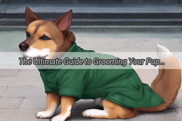 The Ultimate Guide to Grooming Your Pup Is a Drying Towel the Secret Weapon